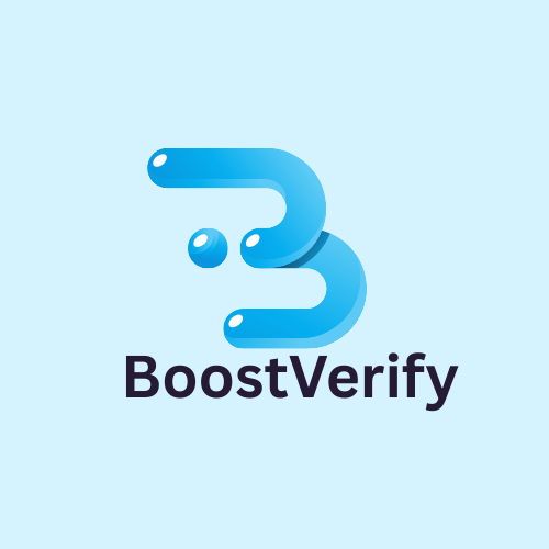 BoostVerify - logo
